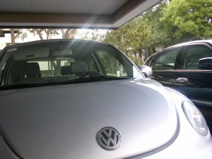 Slugger Bug Punch Buggy